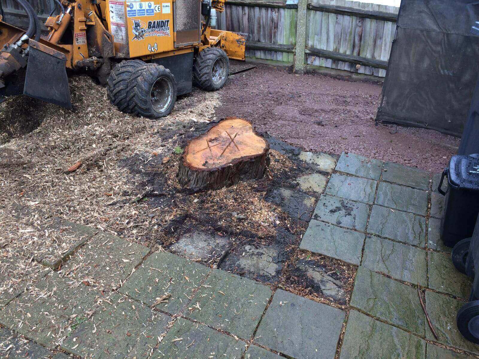 Tree Surgeons Chislehurst BR7