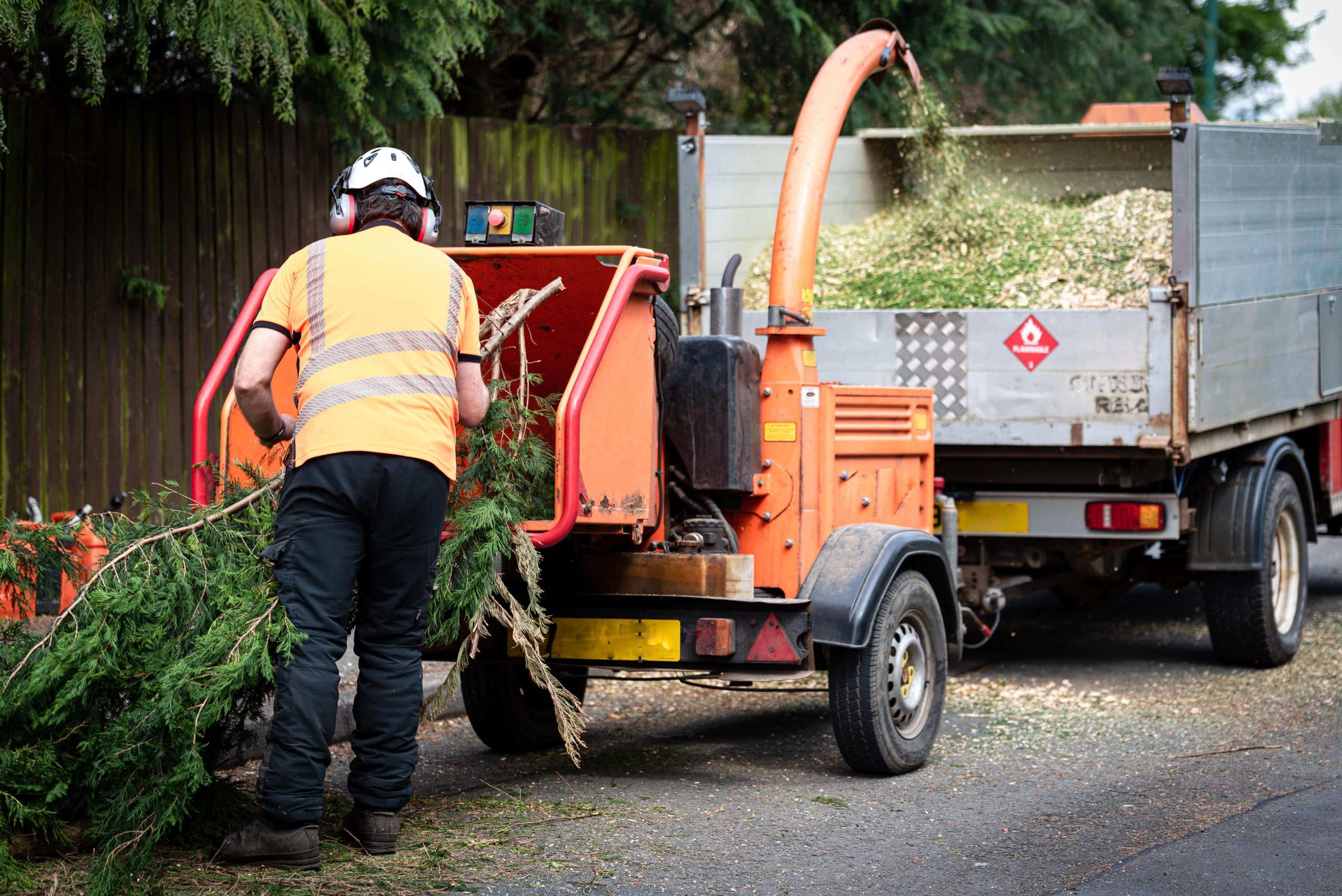 Tree Stump Grinding/Removal Chislehurst BR7
